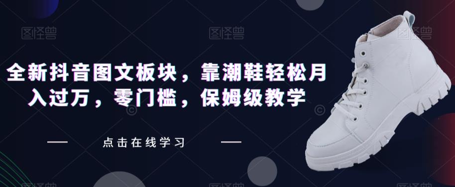 全新抖音图文板块，靠潮鞋轻松月入过万，零门槛，保姆级教学【揭秘】-晟哥学社资源库