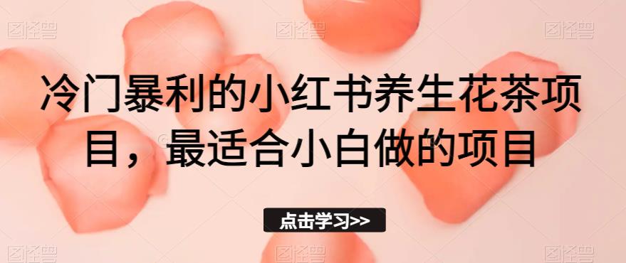 冷门暴利的小红书养生花茶项目，最适合小白做的项目【揭秘】-晟哥学社资源库