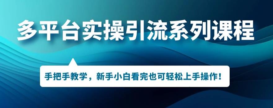 多平台引流实操系列课程，新手小白看完也可轻松上手进行引流操作-晟哥学社资源库