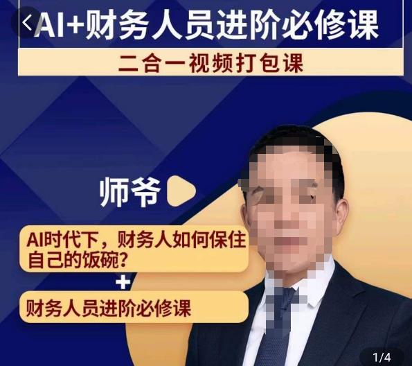 AI+财务人员进阶必修课二合一视频打包课，财务人员进阶必修课-晟哥学社资源库