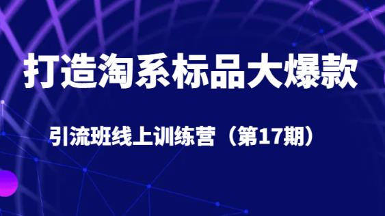 打造淘系标品大爆款引流班线上训练营（第17期）5天直播授课-晟哥学社资源库