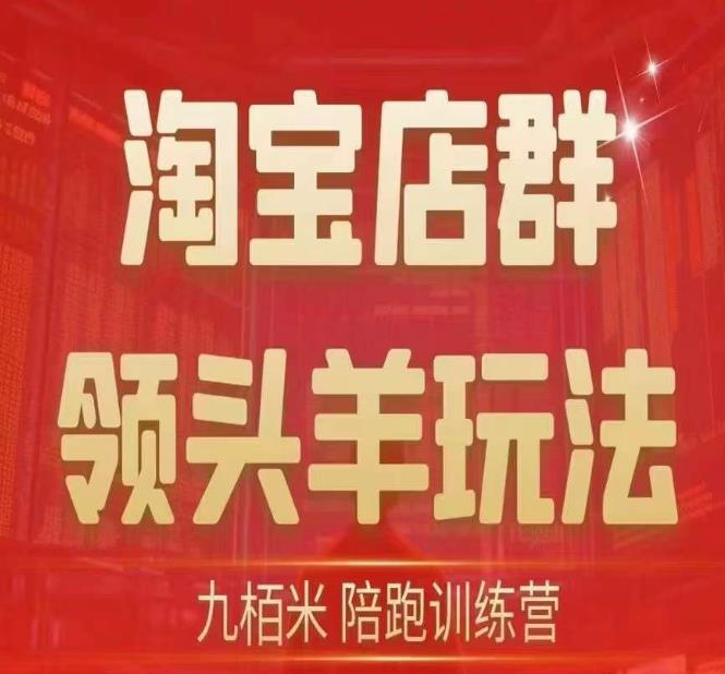 九栢米-淘宝店群领头羊玩法，教你整个淘宝店群领头羊玩法以及精细化/终极蓝海/尾销等内容-晟哥学社资源库