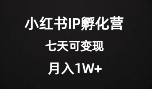 价值2000+的小红书IP孵化营项目，超级大蓝海，七天即可开始变现，稳定月入1W+-晟哥学社资源库