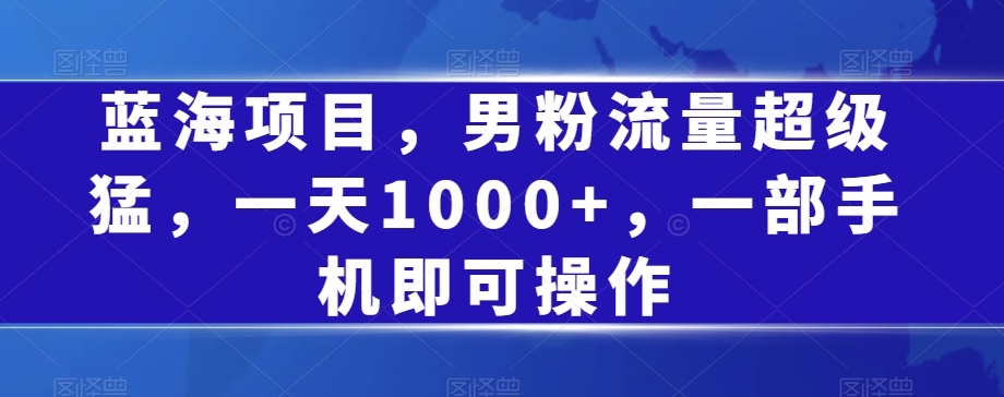 蓝海项目，男粉流量超级猛，一天1000+，一部手机即可操作【揭秘】-晟哥学社资源库