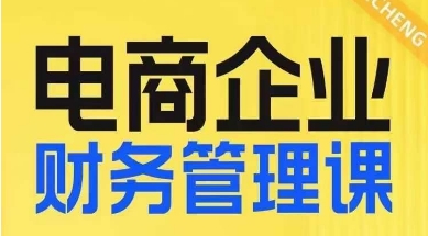 电商企业财务管理线上课，为电商企业规划财税-晟哥学社资源库