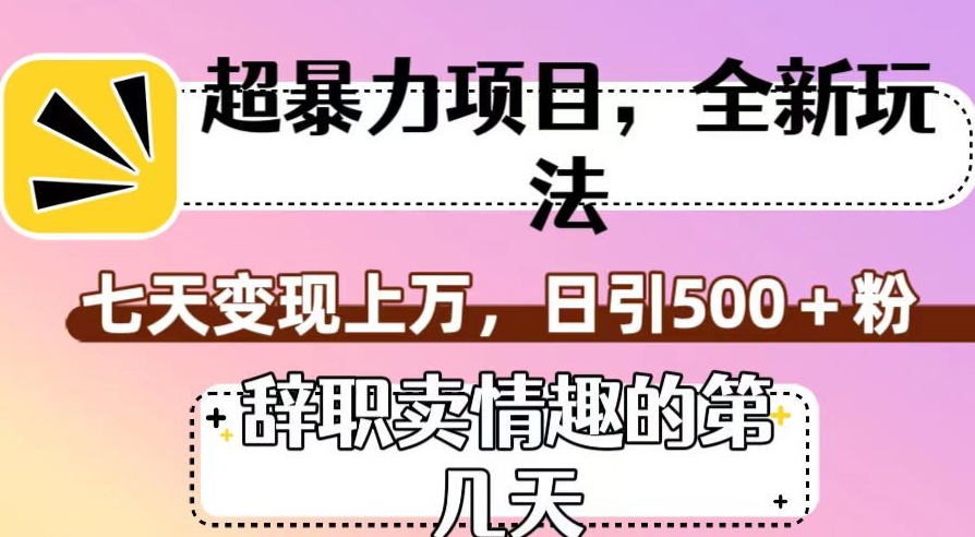 超暴利项目，全新玩法（辞职卖情趣的第几天），七天变现上万，日引500+粉【揭秘】-晟哥学社资源库