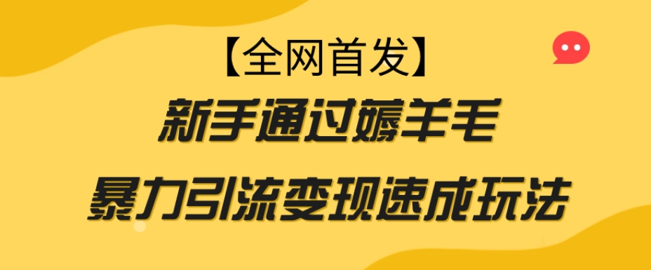 【全网首发】新手通过薅羊毛暴力引流变现速成玩法-晟哥学社资源库