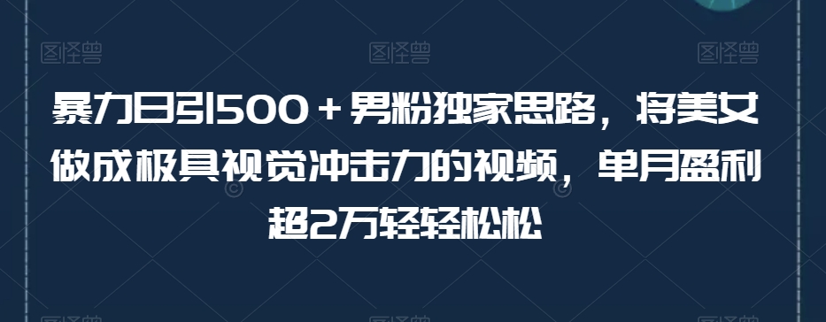暴力日引500＋男粉独家思路，将美女做成极具视觉冲击力的视频，单月盈利超2万轻轻松松-晟哥学社资源库