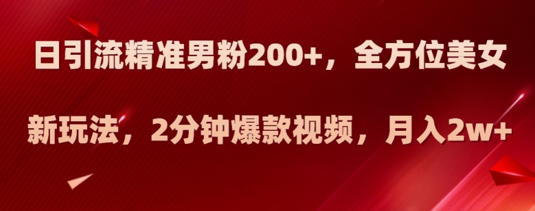 日引流精准男粉200+，全方位美女新玩法，2分钟爆款视频，月入2w+【揭秘】-晟哥学社资源库