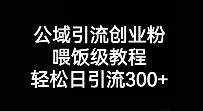 公域引流创业粉，喂饭级教程，轻松日引流300+【揭秘】-晟哥学社资源库