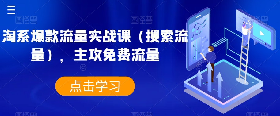 淘系爆款流量实战课（搜索流量），主攻免费流量-晟哥学社资源库