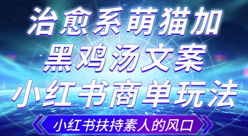 治愈系萌猫加+黑鸡汤文案，小红书商单玩法，3~10天涨到1000粉，一单200左右-晟哥学社资源库