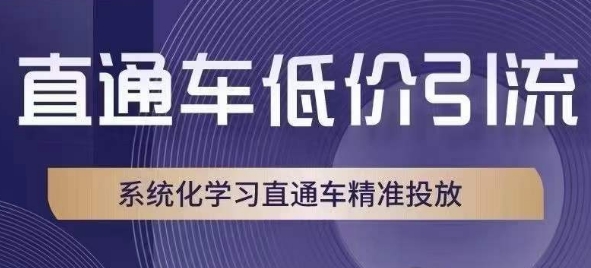 直通车低价引流课，系统化学习直通车精准投放-晟哥学社资源库