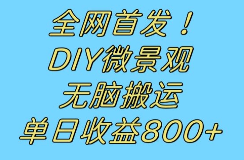 全网首发冷门赛道！DIY微景观，无脑搬运视频，日收益800+【揭秘】-晟哥学社资源库