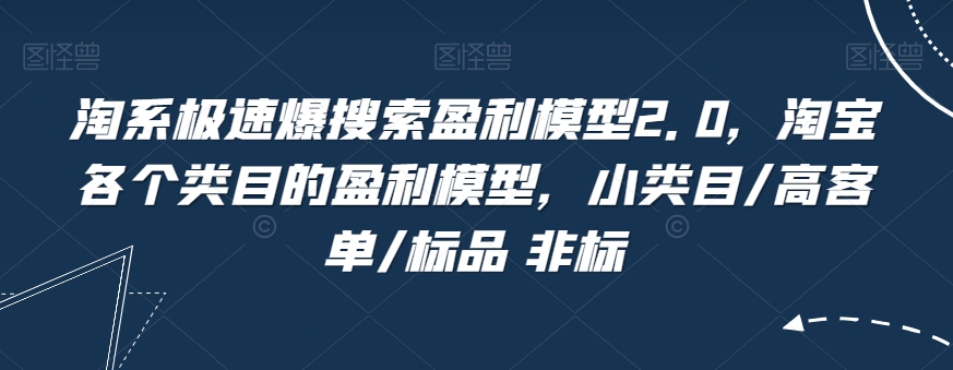 淘系极速爆搜索盈利模型2.0，淘宝各个类目的盈利模型，小类目/高客单/标品 非标-晟哥学社资源库