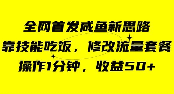 咸鱼冷门新玩法，靠“技能吃饭”，修改流量套餐，操作1分钟，收益50【揭秘】-晟哥学社资源库