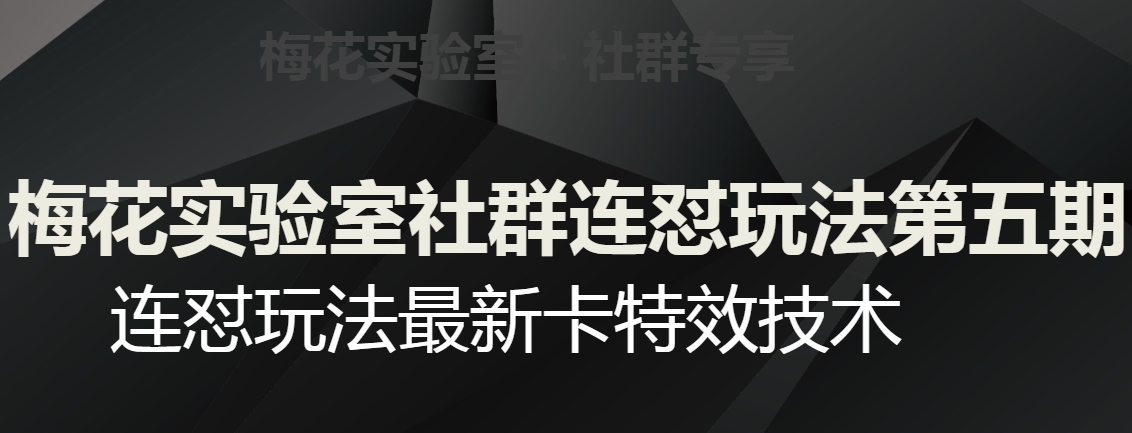 梅花实验室社群连怼玩法第五期，视频号连怼玩法最新卡特效技术-晟哥学社资源库