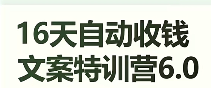 16天自动收钱文案特训营6.0，学会儿每天自动咔咔收钱-晟哥学社资源库