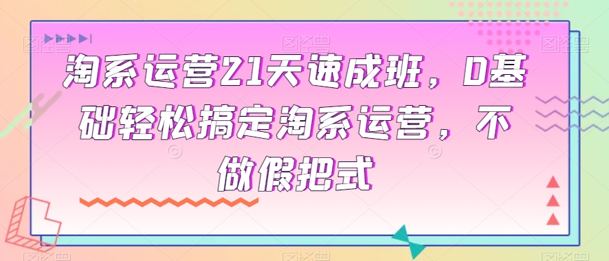 淘系运营21天速成班，0基础轻松搞定淘系运营，不做假把式-晟哥学社资源库
