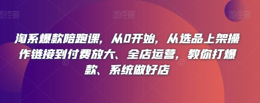 淘系爆款陪跑课，从0开始，从选品上架操作链接到付费放大、全店运营，教你打爆款、系统做好店-晟哥学社资源库
