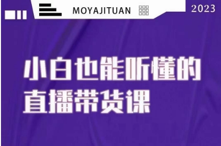 大威本威·能听懂的直播带货课，小白也能听懂，20节完整-晟哥学社资源库