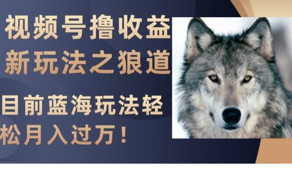 视频号撸收益新玩法之狼道，目前蓝海玩法，轻松月入过万【揭秘】-晟哥学社资源库
