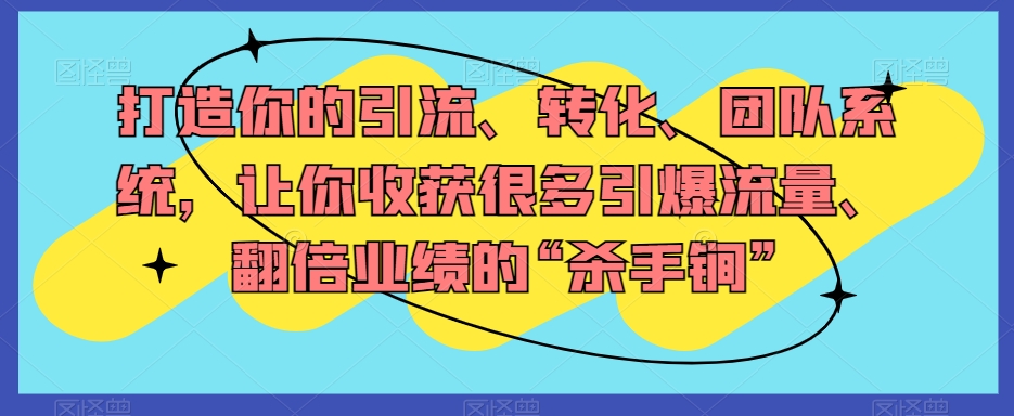 打造你的引流、转化、团队系统，让你收获很多引爆流量、翻倍业绩的“杀手锏”-晟哥学社资源库
