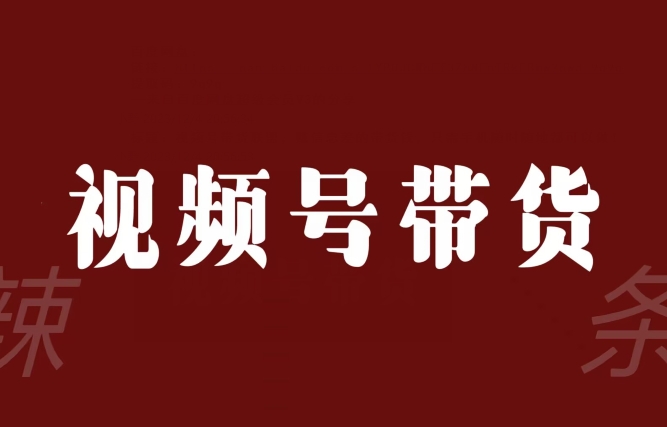 视频号带货联盟，赚信息差的带货钱，只需手机随时随地都可以做！-晟哥学社资源库