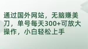 通过国外网站，无脑赚美刀，单号每天300+可放大操作，小白轻松上手【揭秘】-晟哥学社资源库