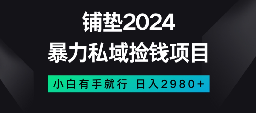 暴力私域捡钱项目，小白无脑操作，日入2980【揭秘】-晟哥学社资源库