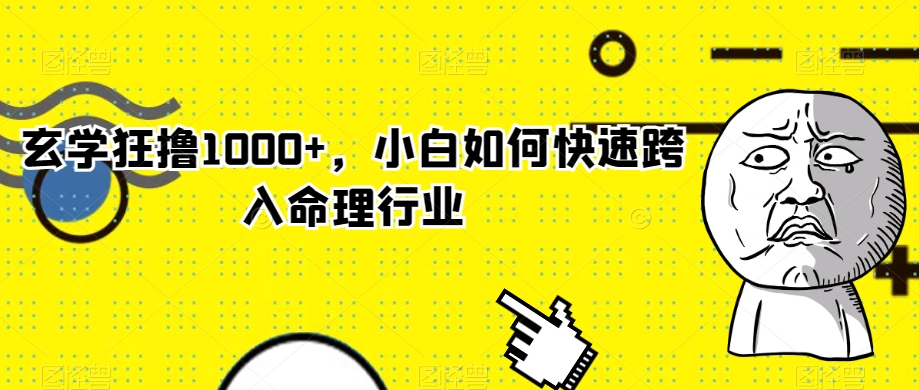 玄学狂撸1000+，小白如何快速跨入命理行业【揭秘】-晟哥学社资源库