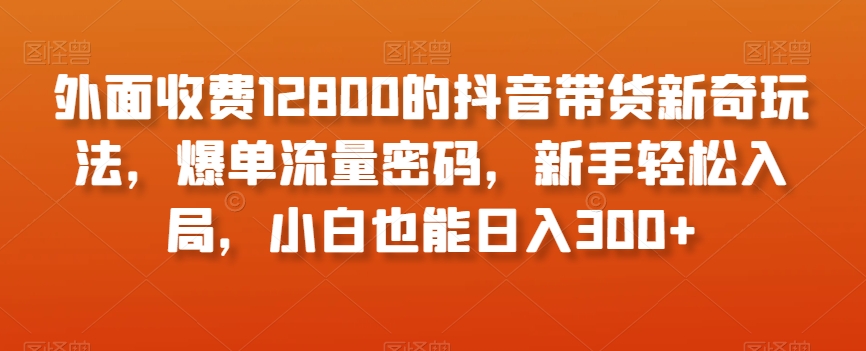 外面收费12800的抖音带货新奇玩法，爆单流量密码，新手轻松入局，小白也能日入300+【揭秘】-晟哥学社资源库