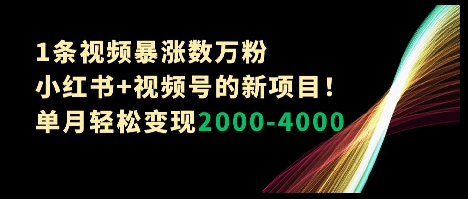 1条视频暴涨数万粉–小红书+视频号的新项目！单月轻松变现2000-4000【揭秘】-晟哥学社资源库