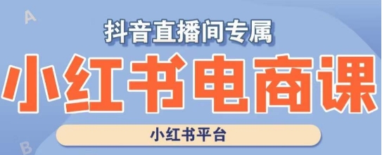小红书电商高级运营课程，实操教学+案例分析-晟哥学社资源库
