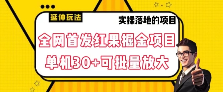 全网首发红果免费短剧掘金项目，单机30+可批量放大【揭秘】-晟哥学社资源库