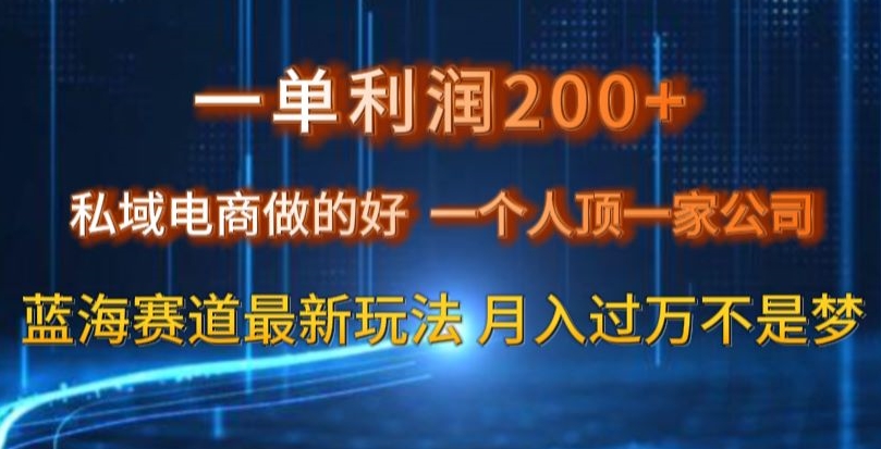 一单利润200私域电商做的好，一个人顶一家公司蓝海赛道最新玩法【揭秘】-晟哥学社资源库