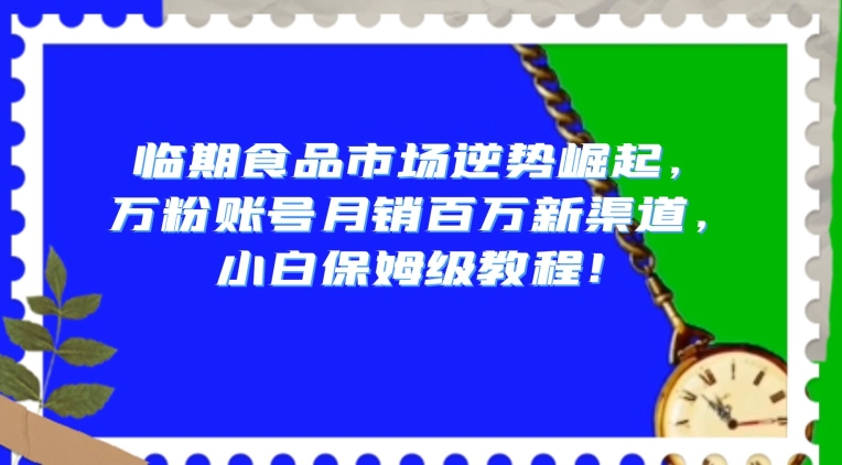 临期食品市场逆势崛起，万粉账号月销百万新渠道，小白保姆级教程【揭秘】-晟哥学社资源库