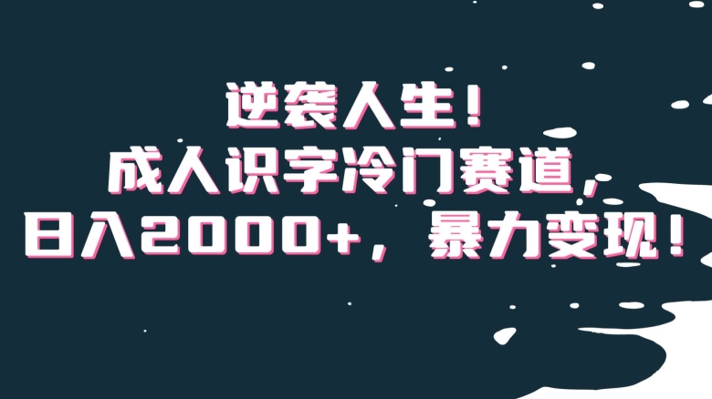 逆袭人生！成人识字冷门赛道，日入2000+，暴力变现！【揭秘】-晟哥学社资源库