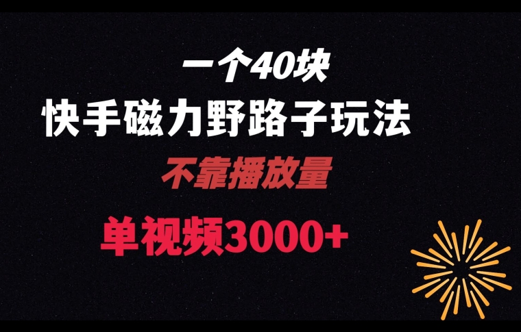 一个40块，快手联合美团磁力新玩法，无视机制野路子玩法，单视频收益4位数【揭秘】-晟哥学社资源库