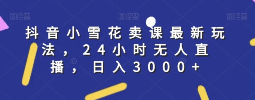 抖音小雪花卖课最新玩法，24小时无人直播，日入3000+【揭秘】-晟哥学社资源库