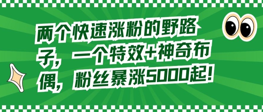 两个快速涨粉的野路子，一个特效+神奇布偶，粉丝暴涨5000起【揭秘】-晟哥学社资源库