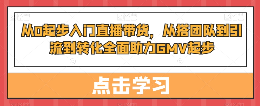从0起步入门直播带货，​从搭团队到引流到转化全面助力GMV起步-晟哥学社资源库