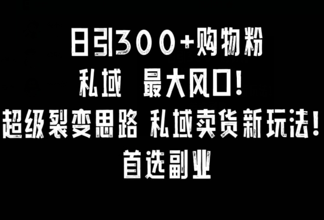 日引300+购物粉，超级裂变思路，私域卖货新玩法，小红书首选副业【揭秘】-晟哥学社资源库
