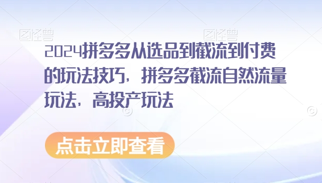 2024拼多多从选品到截流到付费的玩法技巧，拼多多截流自然流量玩法，高投产玩法-晟哥学社资源库