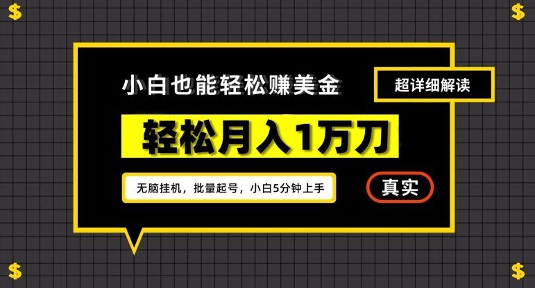 谷歌看广告撸美金2.0，无脑挂机，多号操作，月入1万刀【揭秘】-晟哥学社资源库