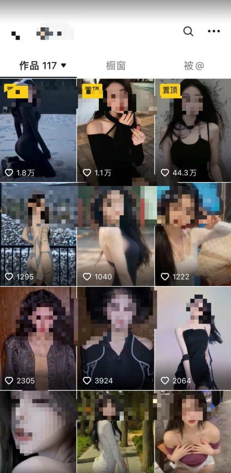 2024利用AI美女视频引粉，单号日引2000+，新手也能干，喂饭式教程【揭秘】-晟哥学社资源库