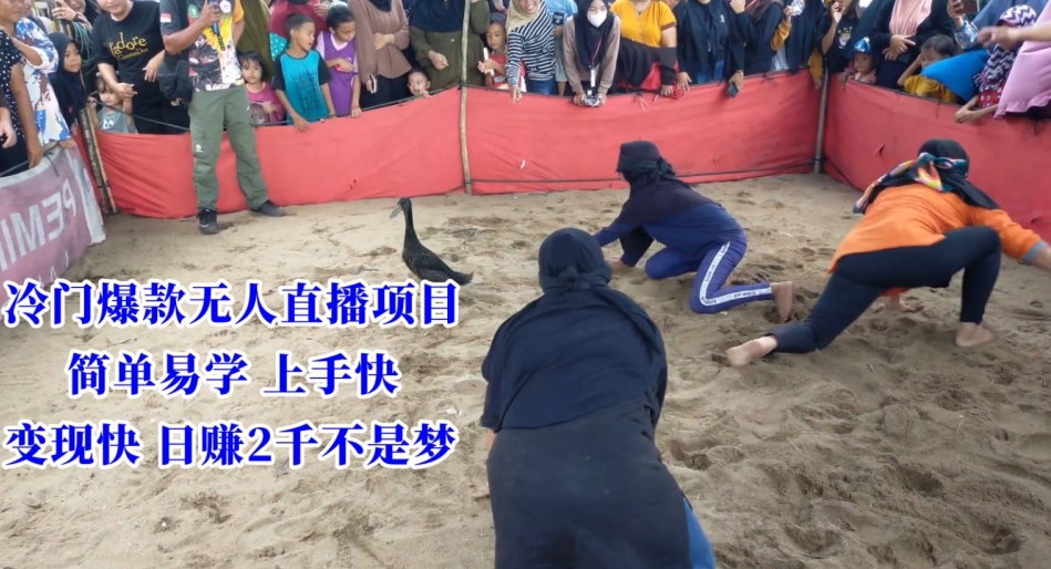 冷门爆款无人直播项目，简单易学上手快，变现快日赚2千不是梦【揭秘】-晟哥学社资源库