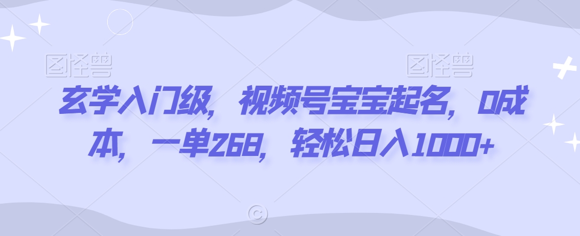 玄学入门级，视频号宝宝起名，0成本，一单268，轻松日入1000+【揭秘】-晟哥学社资源库