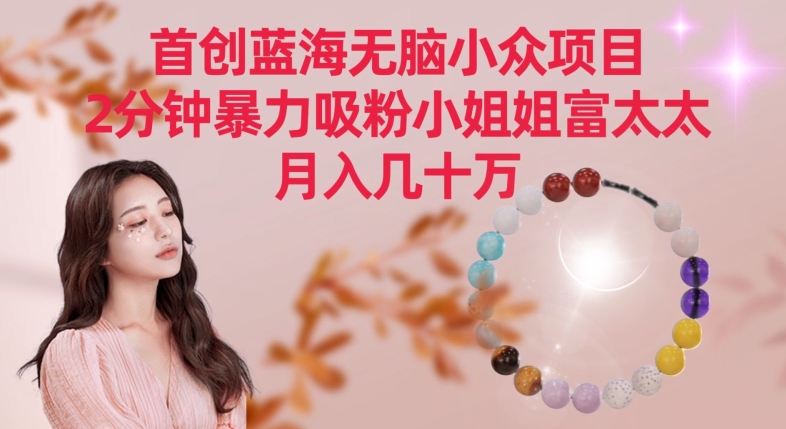 首创蓝海无脑小众项目，2分钟暴力吸粉小姐姐富太太，月入几十万【揭秘】-晟哥学社资源库
