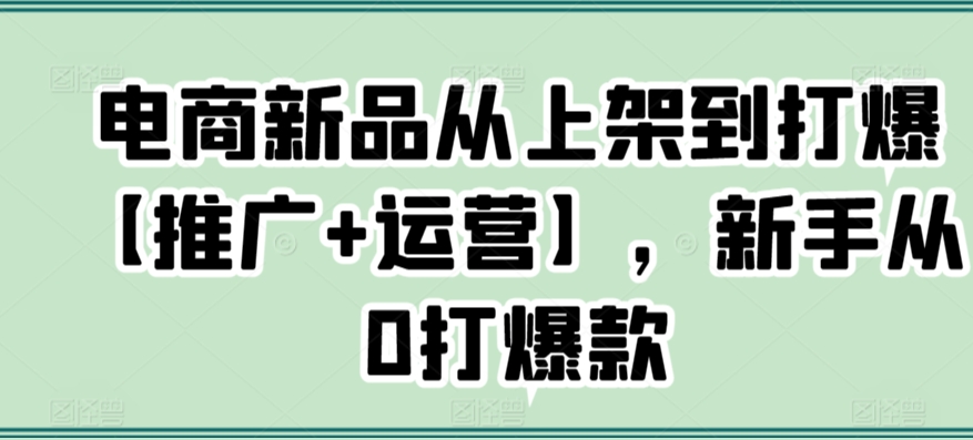 电商新品从上架到打爆【推广+运营】，新手从0打爆款-晟哥学社资源库
